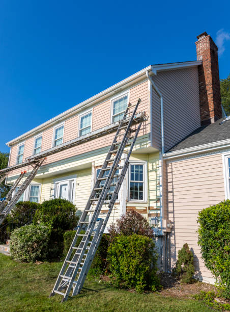 Best Steel Siding Installation  in Walford, IA